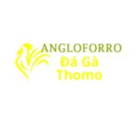 Đá Gà Trực Tiếp Thomo