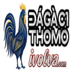 dagac1ivolva