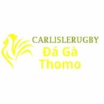 Đá Gà Trực Tiếp Thomo