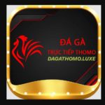 dagathomoluxe