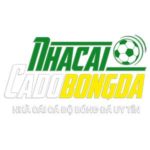 egyptsportsnetworknet