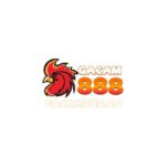GACAM888 - ĐÁ GÀ THOMO, TRỰC TIẾP