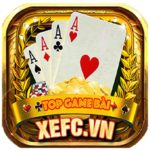 gamebaidoithuongxefcvn