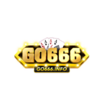 go666info