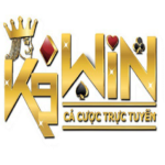 k9wincity