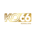 ko66sinfo