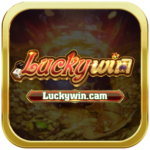 luckywincam