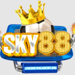 SKY88