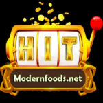 modernfoodsnet1