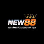 new8822