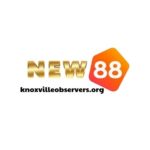 New88 | Nhà cái uy tín được xếp hạng cao nhất | Tải New88 không bị chặn