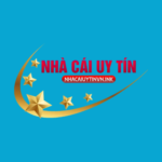 nhacaiuytinink