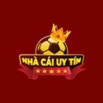 nhacaiuytinselect