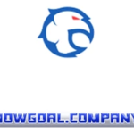 Nowgoal Company