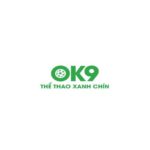 ok9vn2com