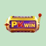 PKWIN
