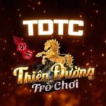 TDTC