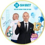 Shbet800