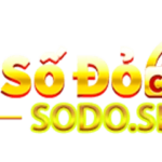 Sodo sbs