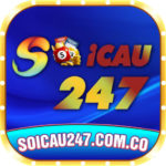 soicau247comco