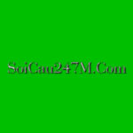 Soi cầu 247