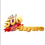 Sunwin Pitwall