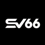 SV66