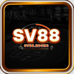 SV88 rocks