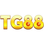 tg888cocom