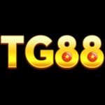 tg88kanet