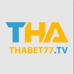 thabet77tv