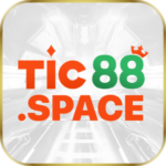 TIC88