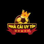 top1nhacaiuytinio