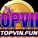 topvinfun