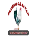 TRƯỜNG GÀ SAVAN - XEM ĐÁ GÀ C1 TRỰC TIẾP TỪ LÀO