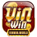 viwinword