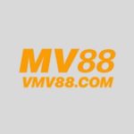 vmv88com
