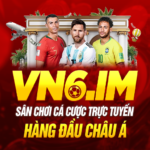 VN6 IM