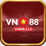 vn88llc