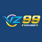 vz99com review