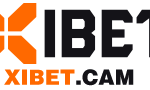 Xibet Cam