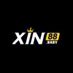 xin88baby