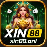 XIN88