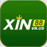 Xin88