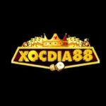 Xocdia 88