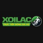 Xoilac - Link xem bóng đá trực tuyến, trực tiếp hôm nay