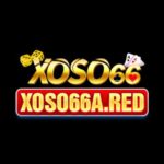 xoso66ared