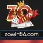 Nhà Đài Zowin
